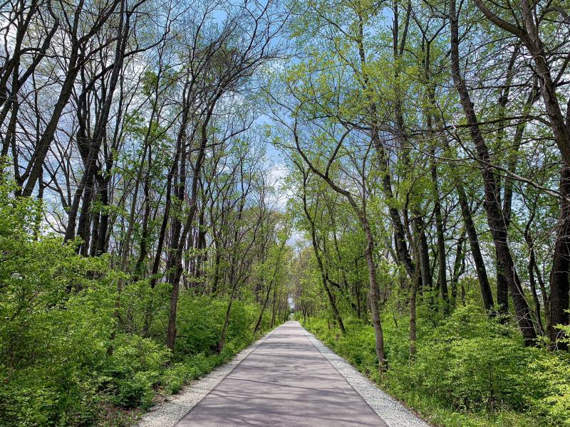 Limestone Greenway during spring