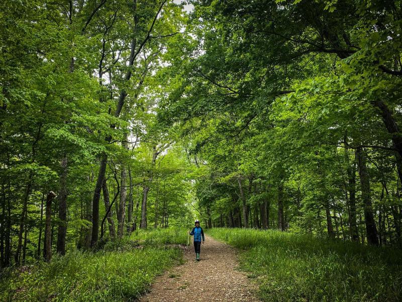 5 Most Hikes in Bloomington, Indiana | Visit Bloomington