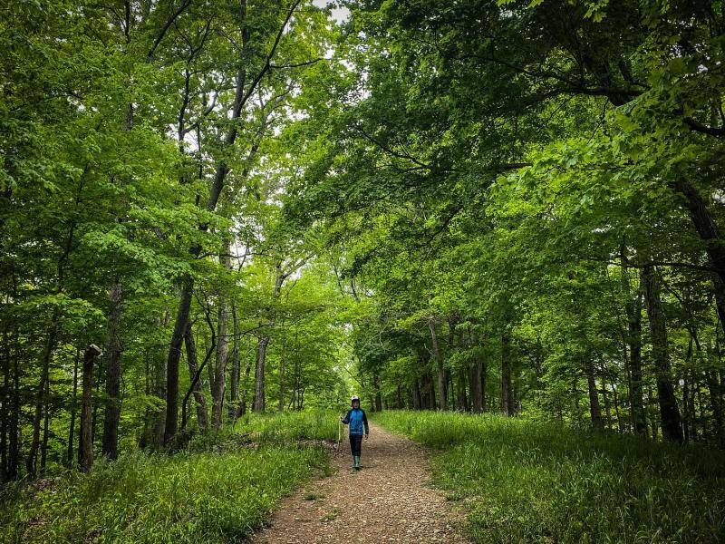 Boy walking on a path surrounded by trees carrying a walking stick at the Amy Weingartner Branigin Peninsula