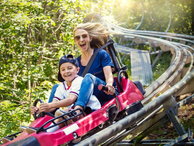 Copperhead Mountain Coaster