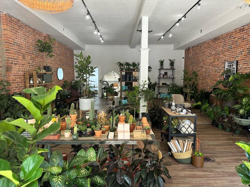 Store with plenty of plants and plant products