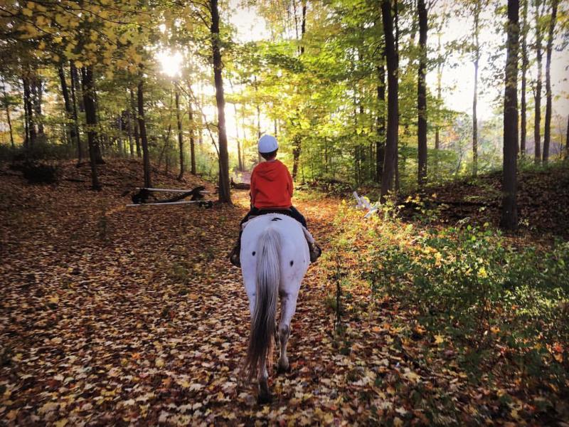 Fall Foliage Horseback Riding