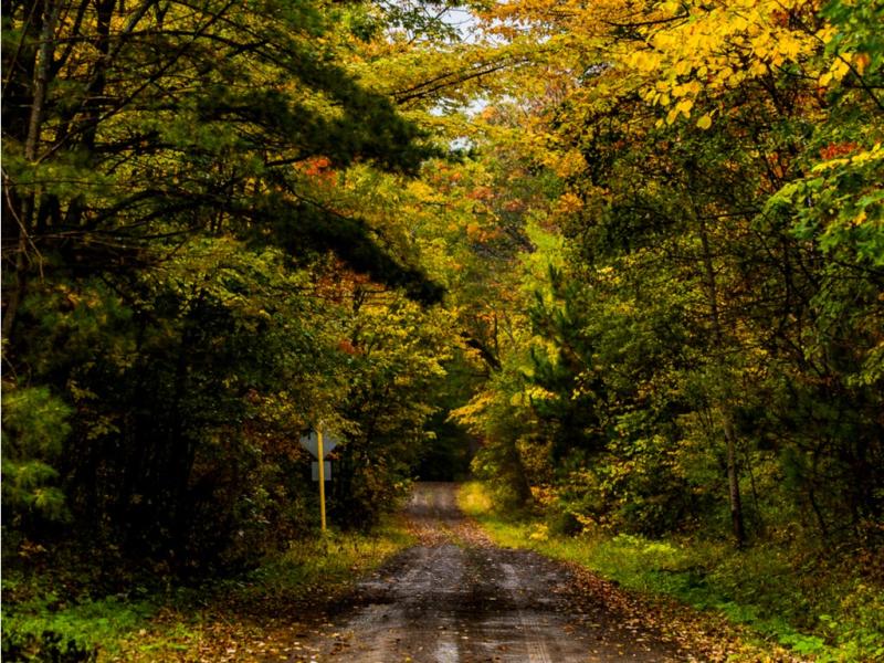 Fall Hiking Trail