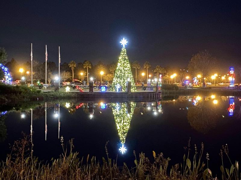 Christmas Tree Palm Coast