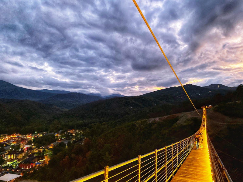 SkyBridge at Night