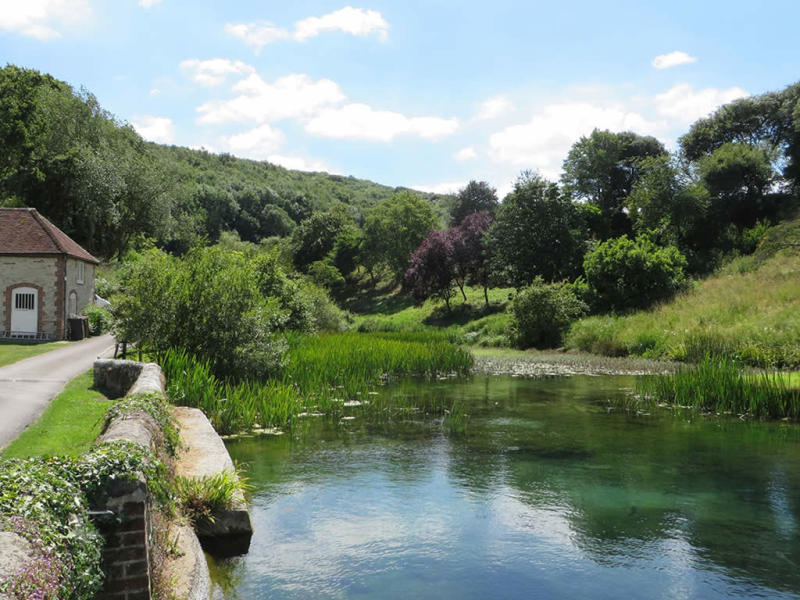 A view of a mill pond