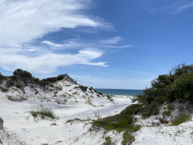 secluded dunes at TH Stone Memorial St. Joseph Peninsula State Park on a partly cloudy day