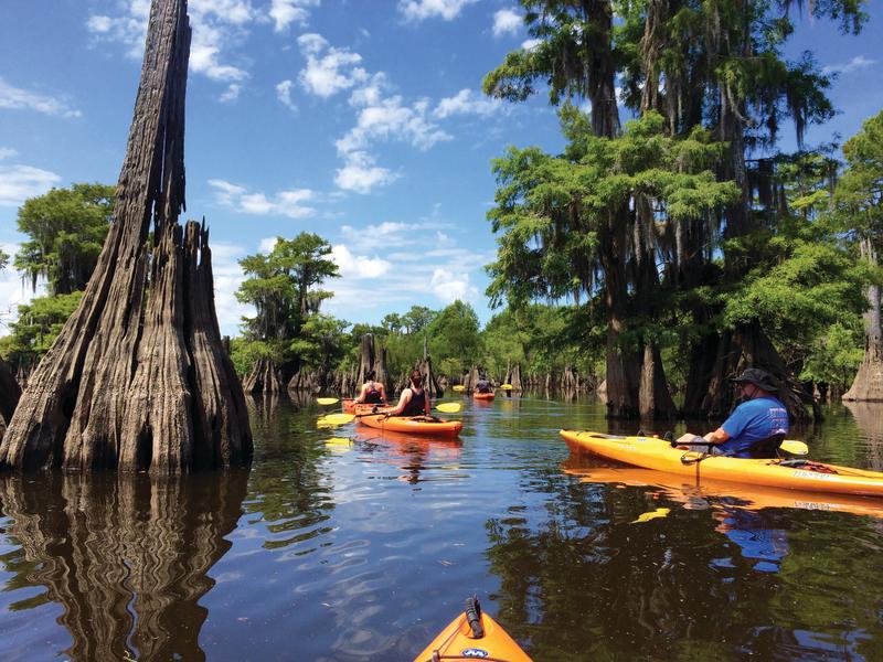 kayaking in Dead Lakes