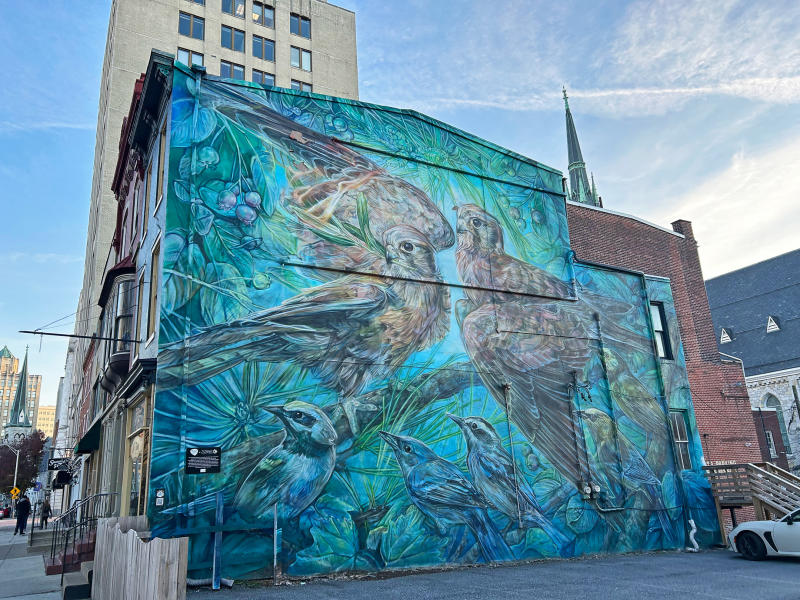 Bird Mural