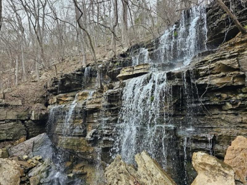 Bethel Springs Nature Preserve