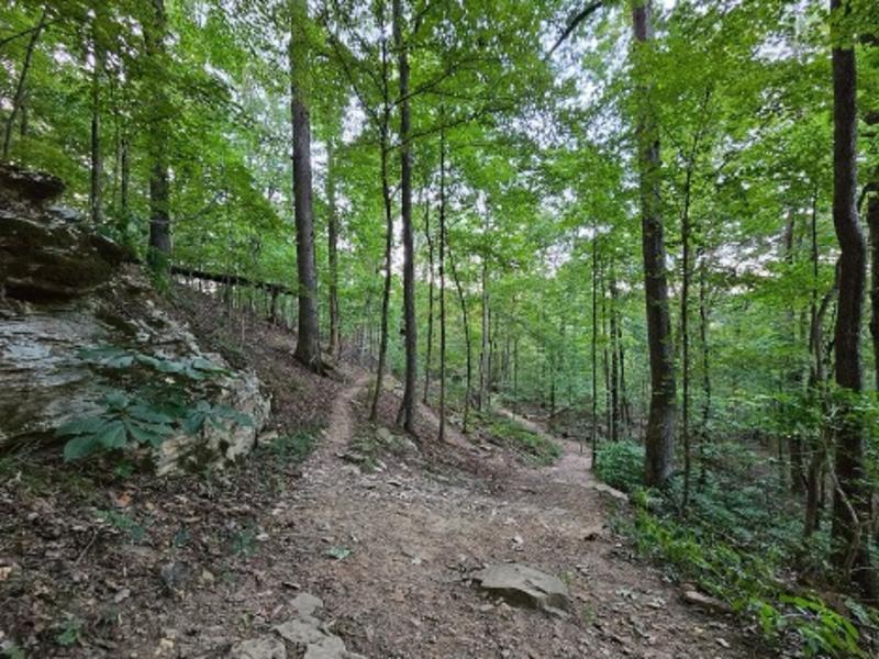 Blevins Gap Nature Preserve