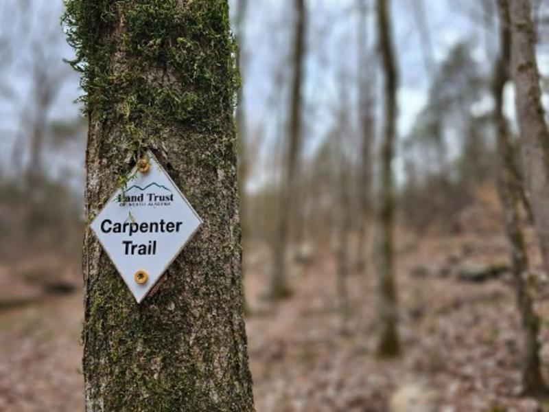 Carpenter Trail
