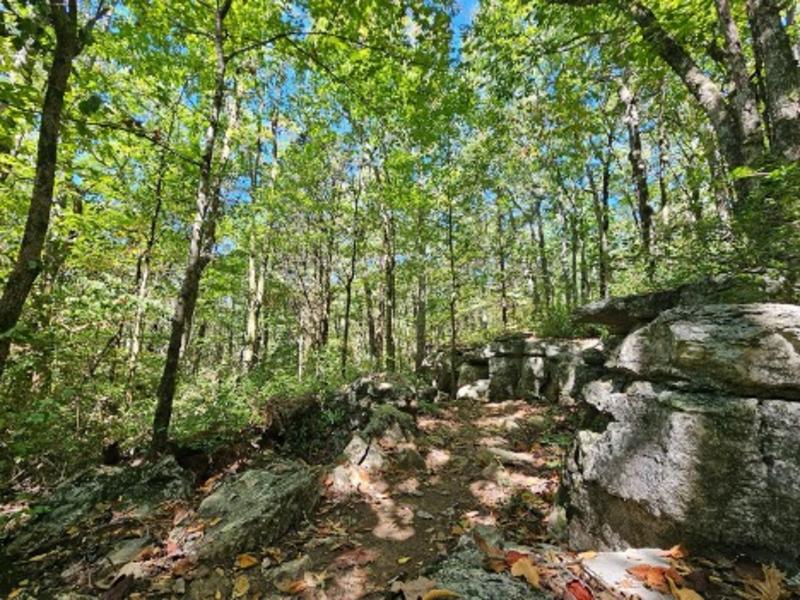 Chapman Mountain Nature Preserve