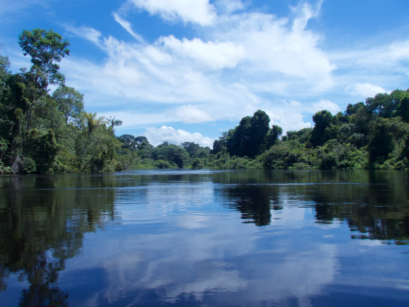Cristalino River - An Adventure in the Brazilian Amazon