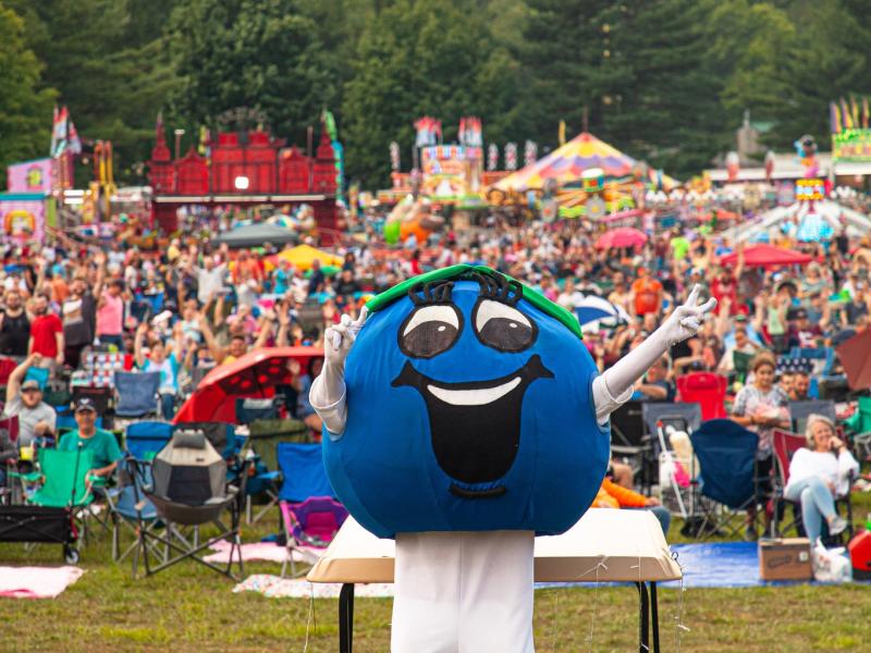 Blueberry Fest