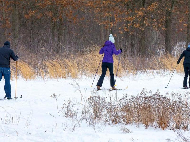 Cross-Country Skiing at Indiana Dunes National Park