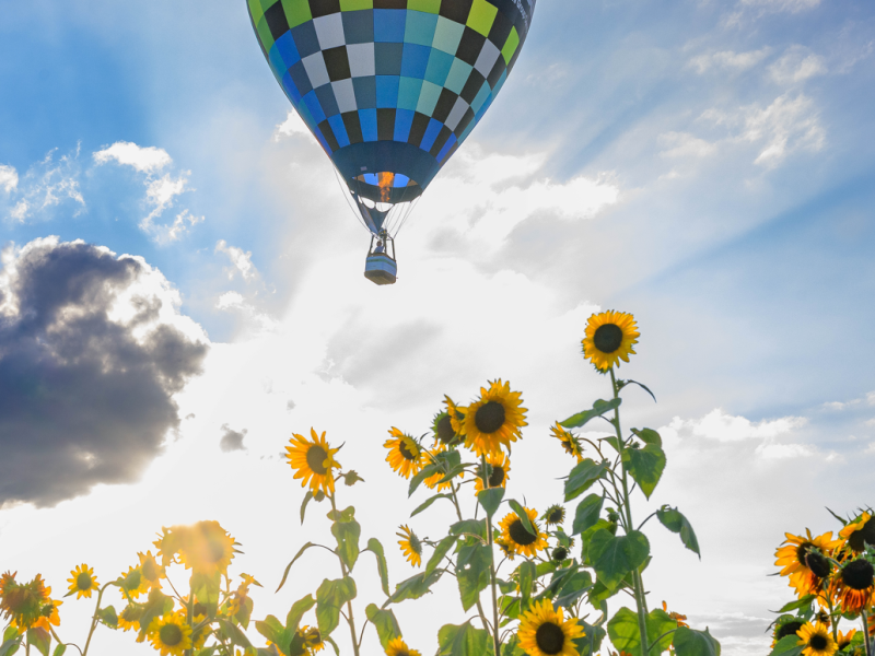 Jupiter Balloon Fest