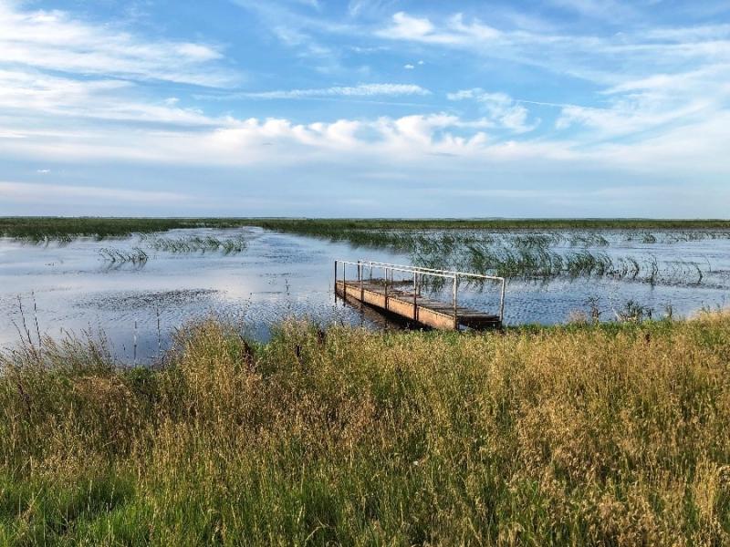 Cheyenne Bottoms