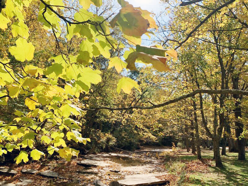 Leaf-peepers, get ready for spectacular fall season