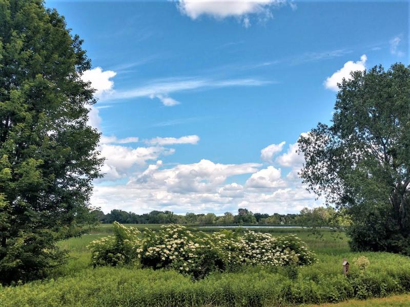 Palmer Lake Park view