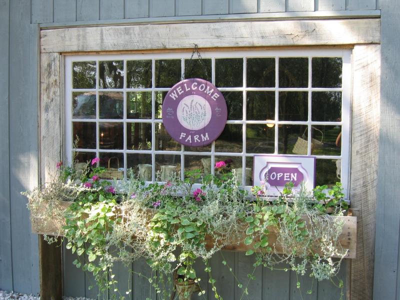 Willowfield Lavender Farm is just one of several attractions your group will love in Morgan County!