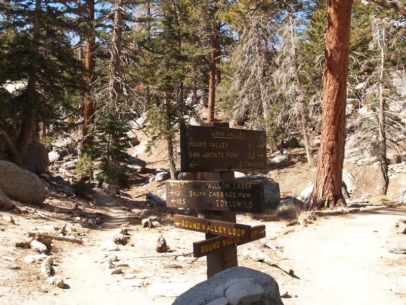A rustic wooden trail signpost with multiple directional signs indicating hiking paths through a forest of tall pine trees, including directions to Long Valley, Round Valley, San Jacinto Peak, Willow Creek, Skunk Cabbage Meadow, and Idyllwild. The path leading off into the woods is rocky and surrounded by the natural landscape.