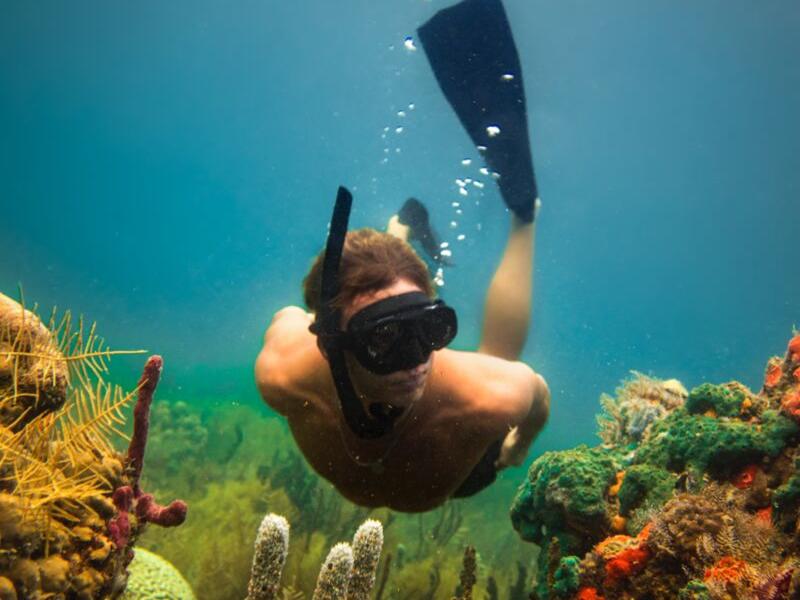 snorkeling-coral-cay-bocas-del-toro-province