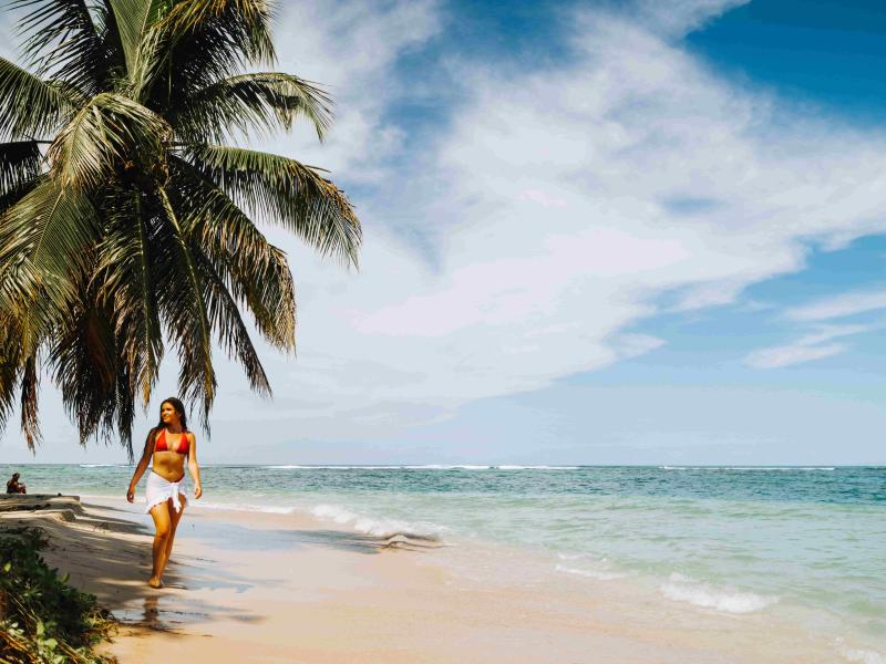 Woman walks by the shore, palm tree and blue sky.