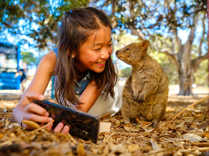 Quokka | Rottnest Island