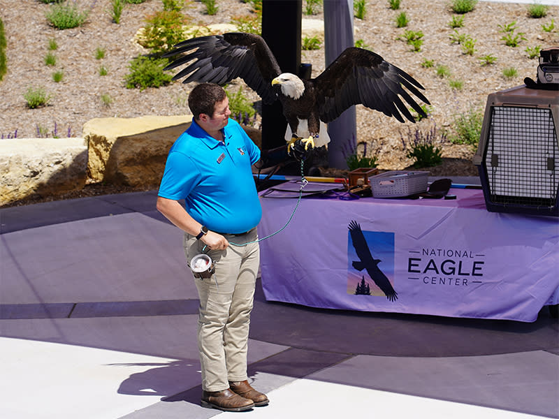 National Eagle Center