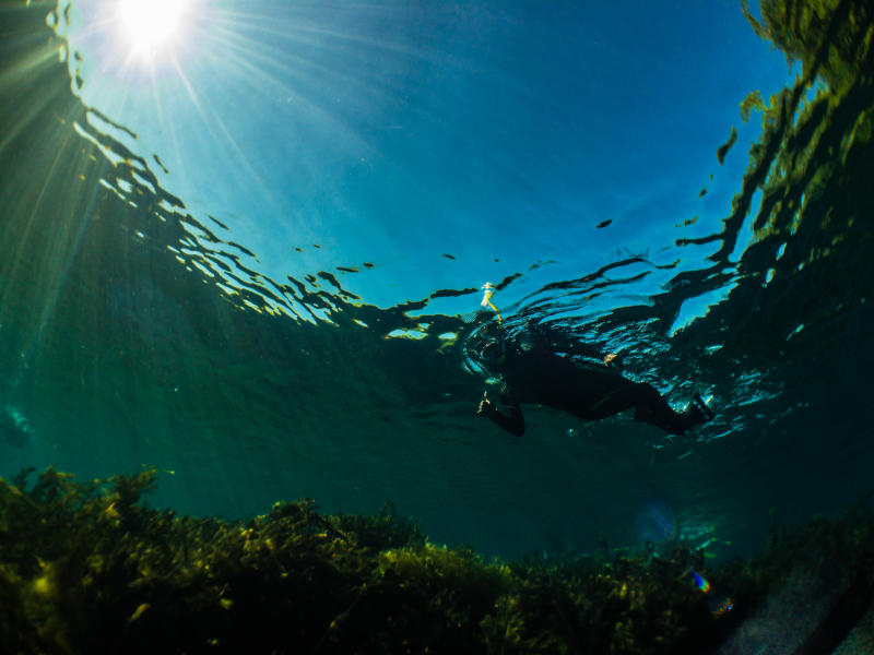 Snorkeler exploring the surface of Spring Lake