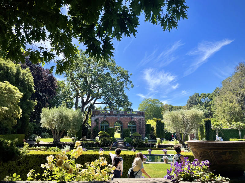 Summer morning at Filoli Historic House & Gardens