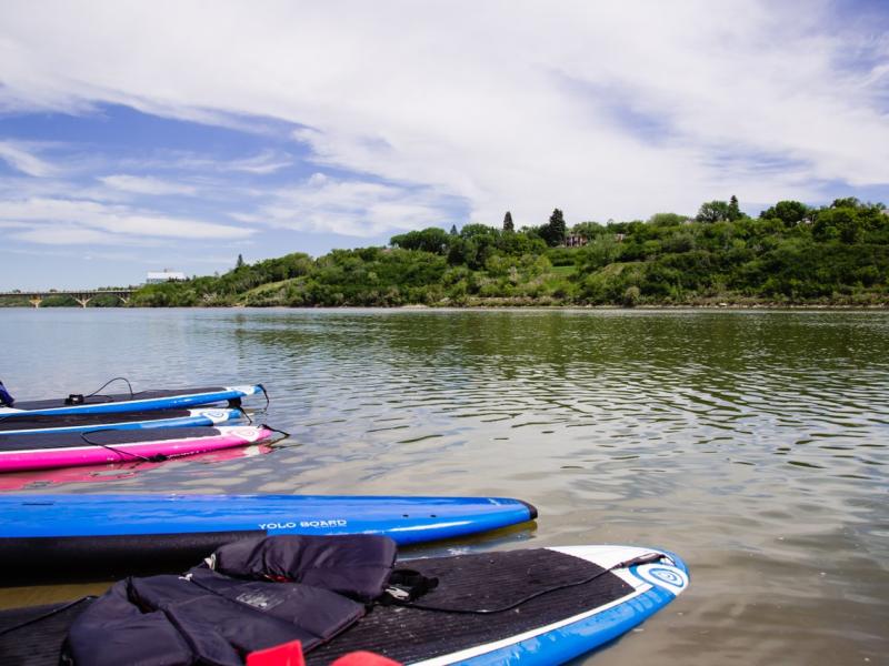 paddleboard