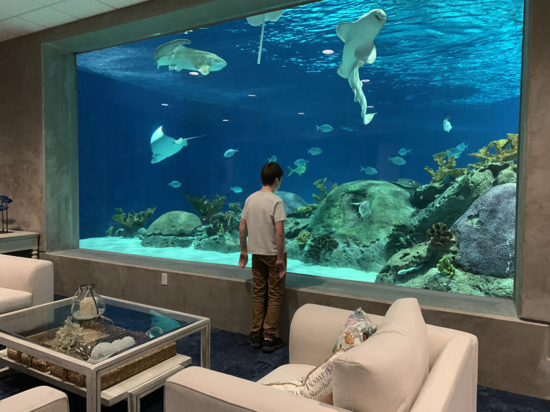 Boy standing in front of aquarium