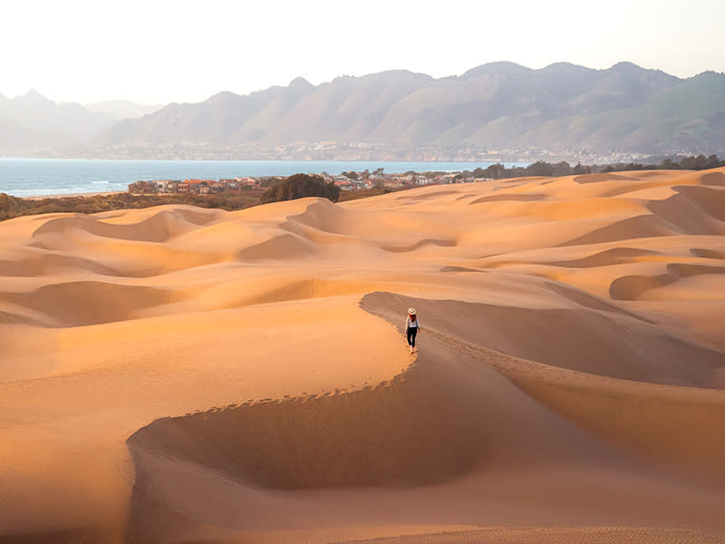 Sand Dunes at Oceano Dunes State Park in SLO CAL