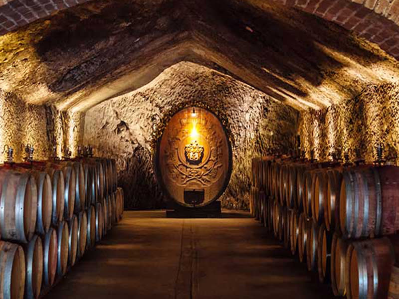 Wine cave at Buena Vista in Sonoma. Rows of barrels leading to a larger, vertical barrel with fancy scrollwork on it.