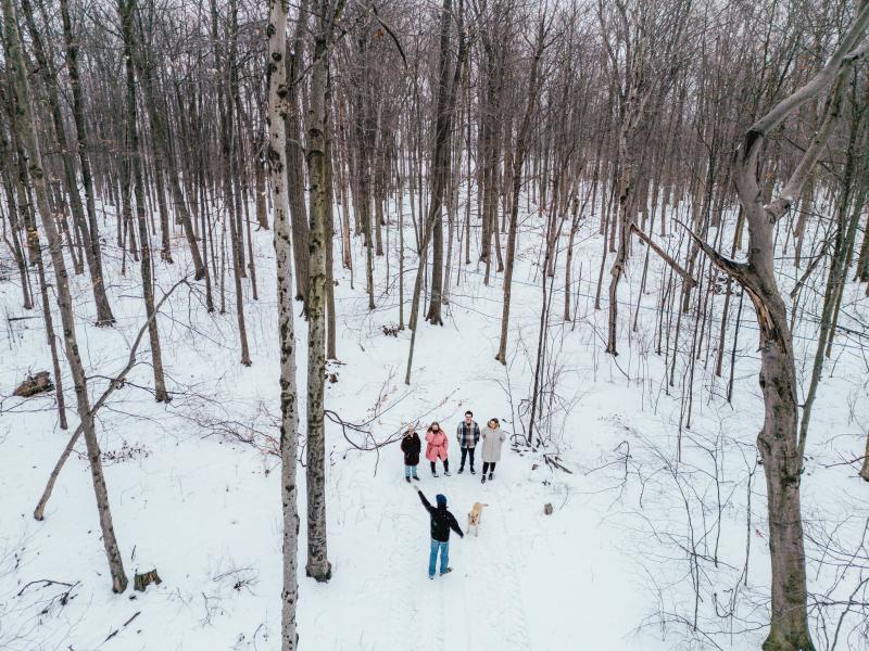 A group of five people and a dog stand on a snow-covered trail surrounded by tall, leafless trees in a winter forest. One person in front appears to be leading or gesturing toward the group, creating a lively moment in the quiet, snowy landscape.