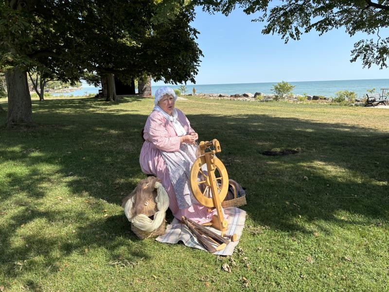 wool spinner susan toth