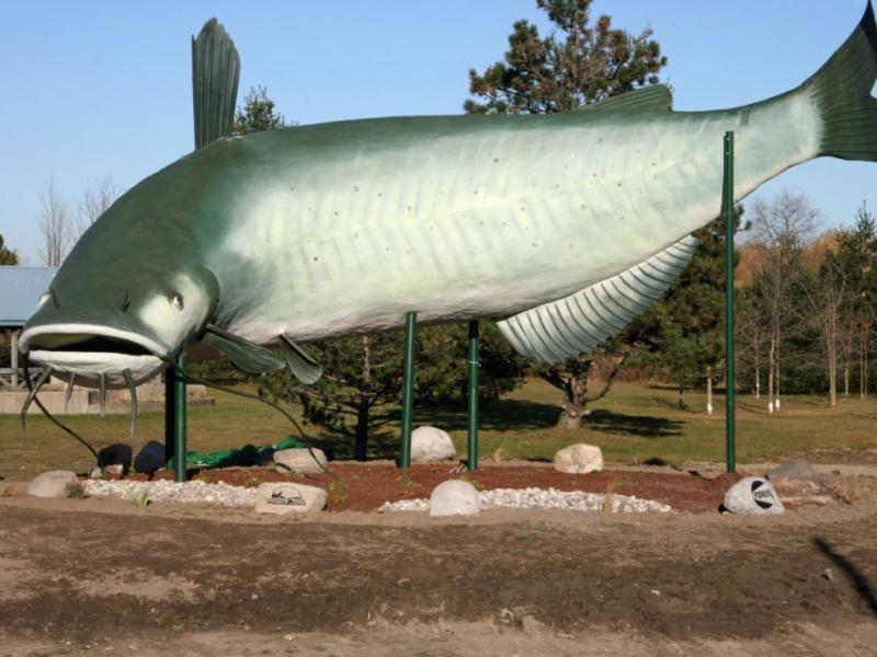 muddy the mudcat statue