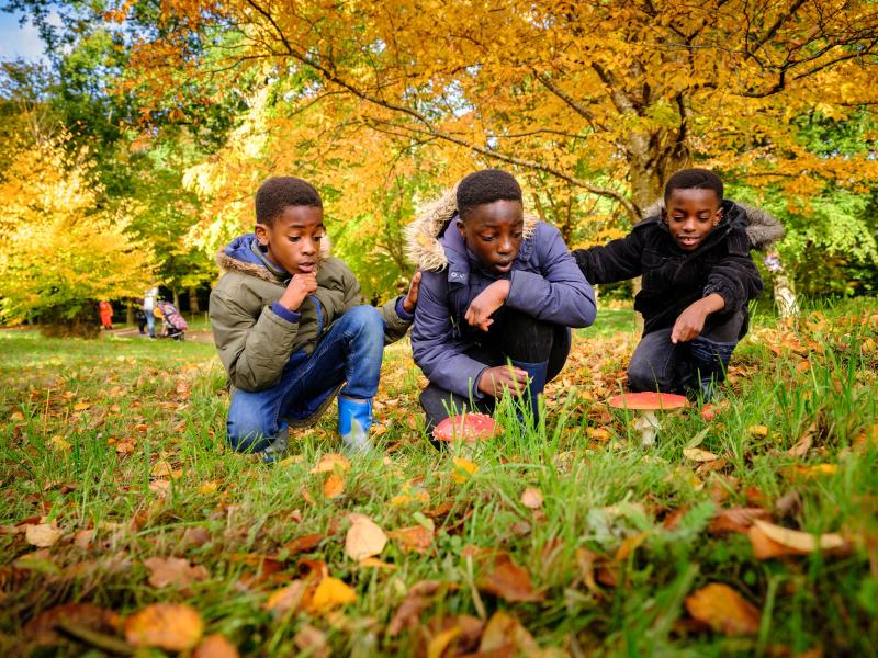 Children at wakehurst in Autumn