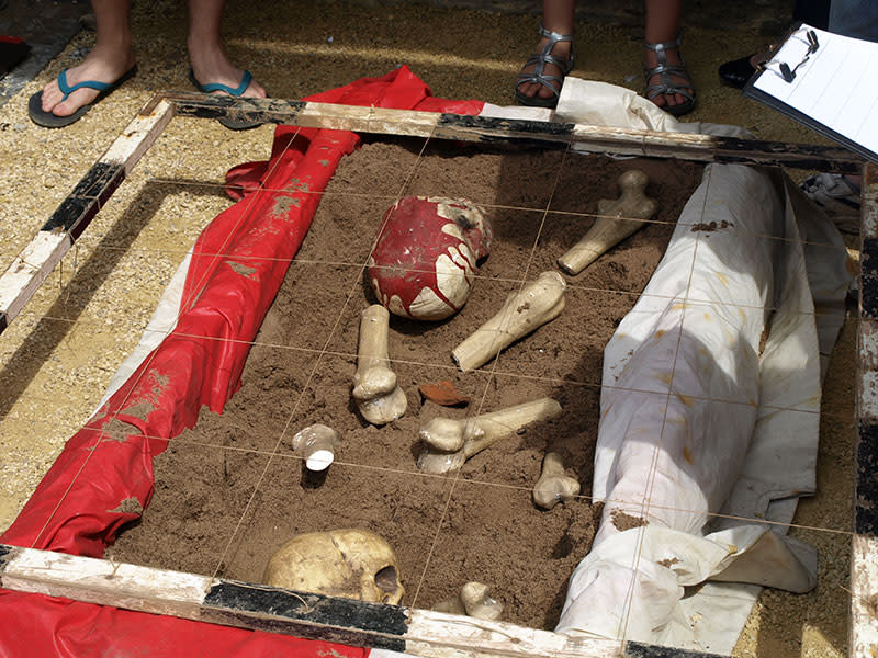 A pretend archaeological dig scene with fake bones and sand.