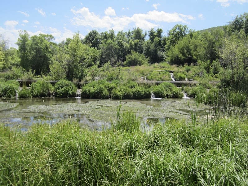 Cascade Springs