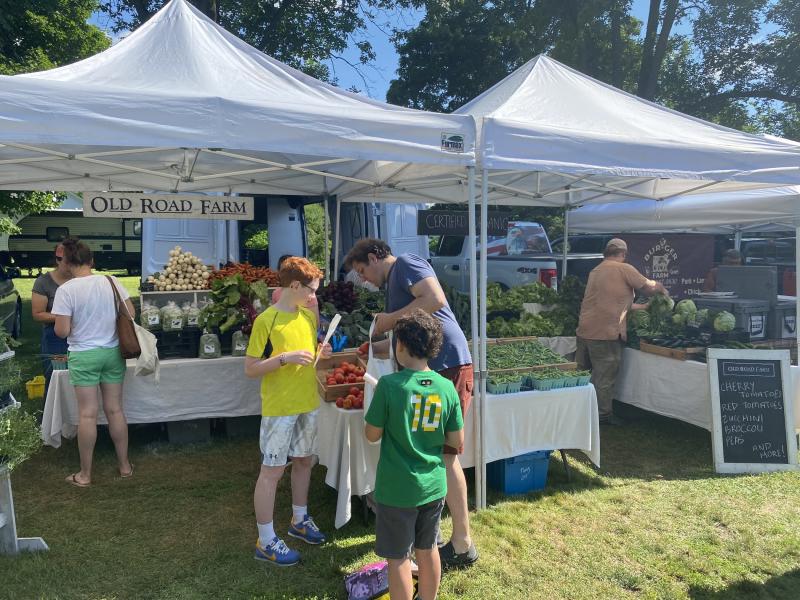 Farmers market stalls in Shelburne with fresh produce under white tents on a sunny day. A family is seen filling a bag with tomatoes.