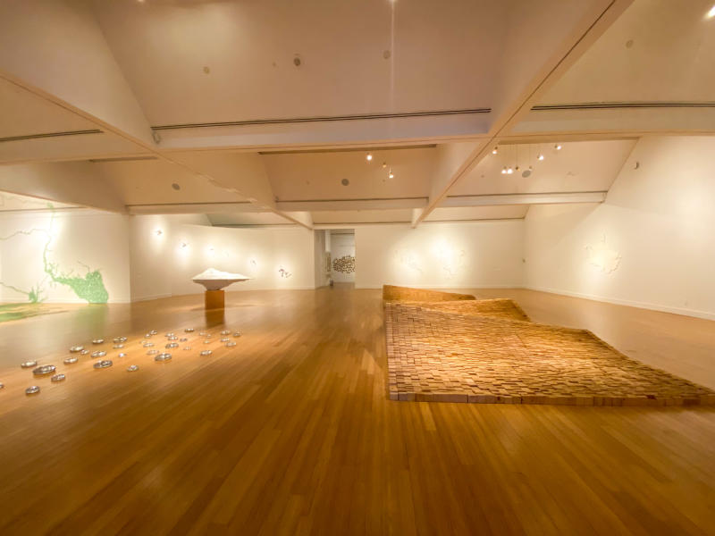 Maya Lin Exhibit 2