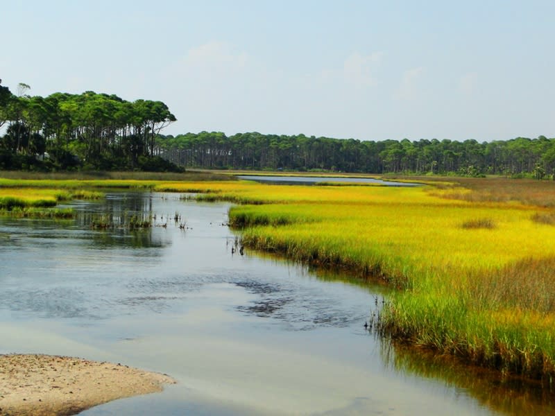 St_Joseph_Peninsula_State_Park_lauren_tjaden (3)