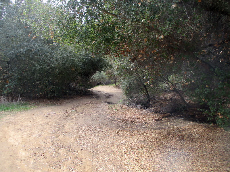 Tecolote trails