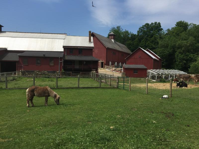 Muscoot Farm with horse