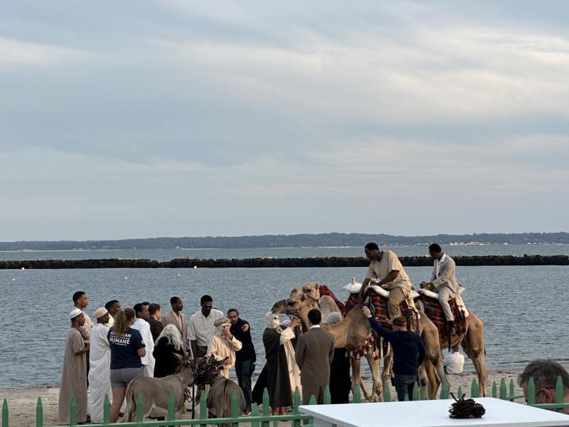 Marty Supreme on Long Island Sound