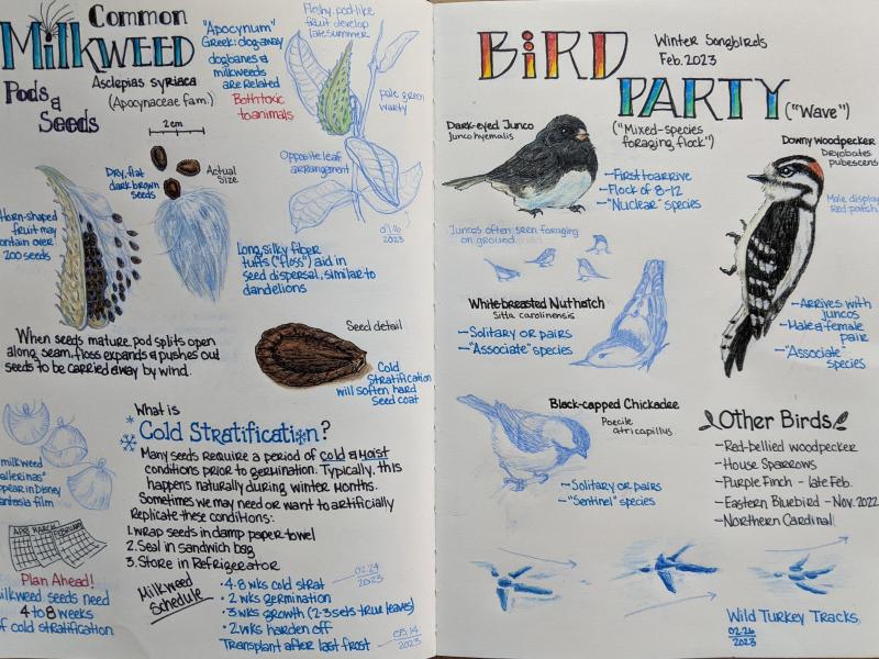 W.K. Kellogg Bird Santuary Bird Journaliing