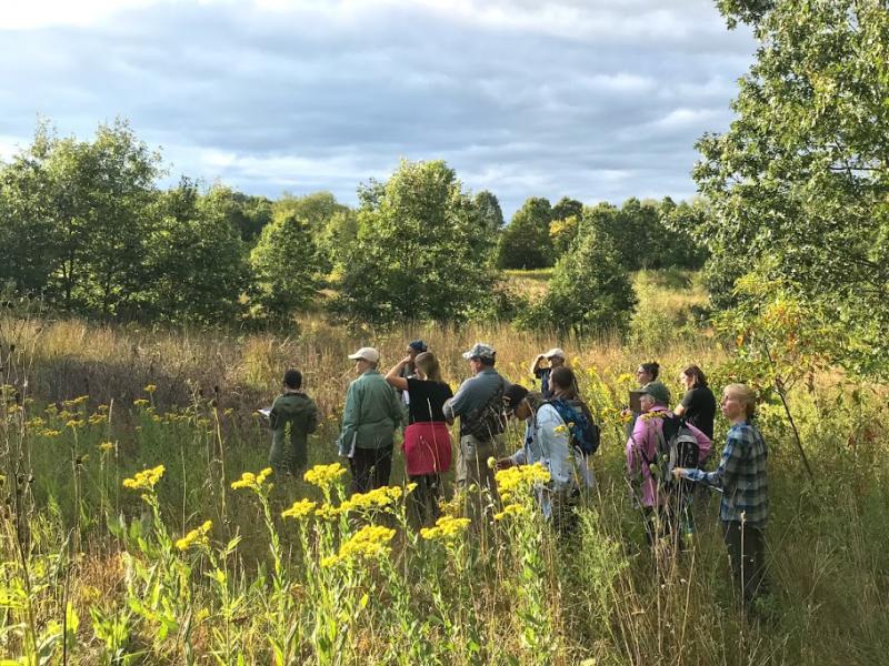 W.K. Kellogg BIrd Sanctuary Prarie